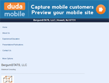Tablet Screenshot of bergumstats.com